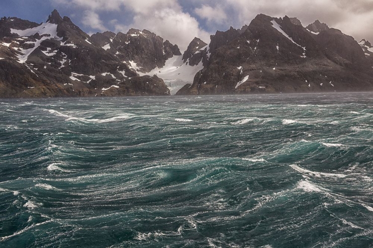 Picture of SOUTHERN OCEAN-SOUTH GEORGIA-DRYGALSKI FJORD