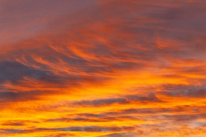 Picture of SOUTHERN OCEAN-SOUTH GEORGIA-SUNSET AT SOUTH GEORGIA