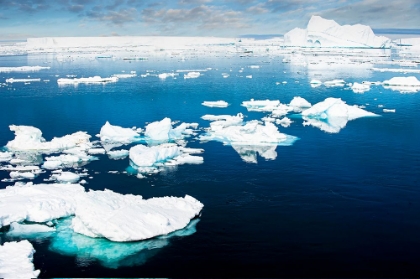 Picture of ANTARCTICA-LEMAIRE CHANNEL-FLOATING ICE