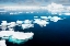 Picture of ANTARCTICA-LEMAIRE CHANNEL-FLOATING ICE