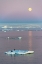 Picture of MOON OVER ANTARCTIC FUR SEAL ON FLOATING ICE IN SOUTH ATLANTIC OCEAN-ANTARCTICA