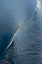 Picture of WAVE PATTERN IN SOUTH ATLANTIC OCEAN-ANTARCTICA