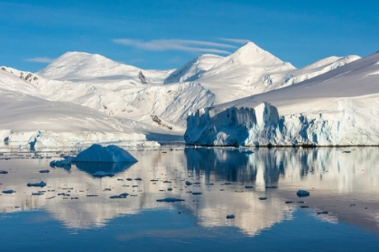 Picture of SNOW COVERED ISLAND AND ICEBERG WITH REFLECTION IN SOUTH ATLANTIC OCEAN-ANTARCTICA