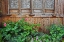 Picture of LATTICED WINDOWS OF AN OLD HOUSE ON ZIYANG STREET IN THE OLD TOWN-LINHAI-ZHEJIANG PROVINCE-CHINA