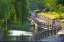 Picture of GONGCHEN BRIDGE WITH WILLOW TREE-EASTERN END OF THE GRAND CANAL-HANGZHOU-ZHEJIANG PROVINCE-CHINA