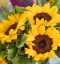 Picture of CHINA-HONG KONG SUNFLOWERS AT A FLOWER MARKET
