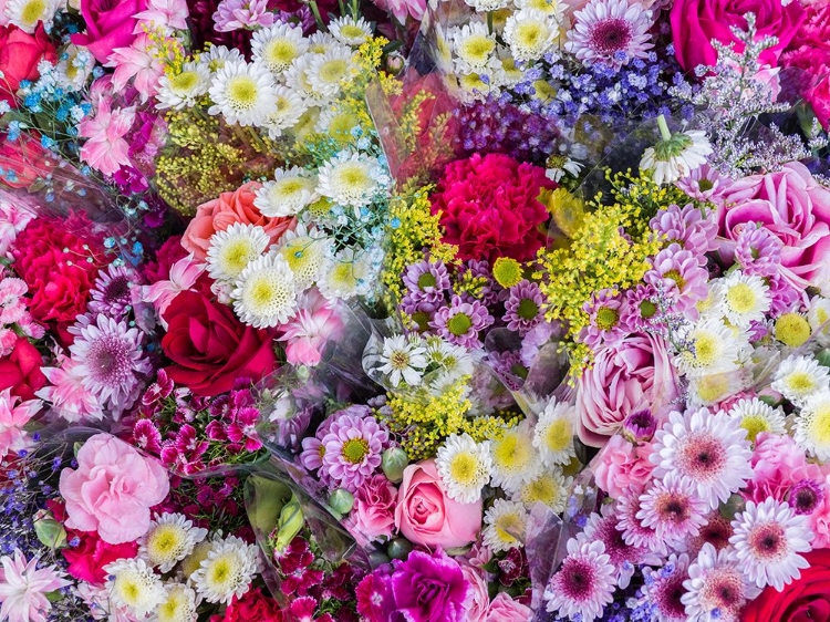 Picture of CHINA-HONG KONG FLOWER MARKET