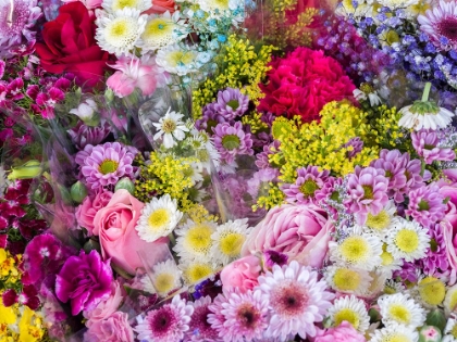 Picture of CHINA-HONG KONG FLOWER MARKET