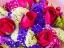 Picture of CHINA-HONG KONG FLOWER MARKET