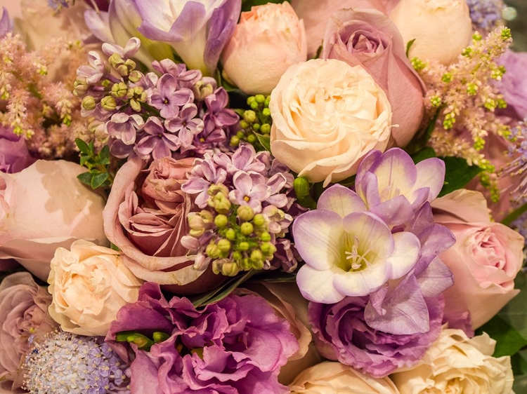 Picture of CHINA-HONG KONG FLOWER MARKET