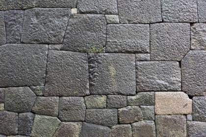 Picture of STONE WALL OF THE ROYAL PALACE-TOKYO-JAPAN