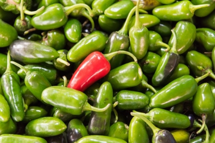 Picture of SELLING PEPPERS AT THE MARKET-KATHMANDU-NEPAL