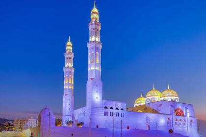 Picture of MIDDLE EAST-ARABIAN PENINSULA-OMAN-MUSCAT-BAWSHAR-MUHAMMAD AL AMEEN MOSQUE IN BAWSHAR