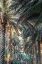 Picture of MIDDLE EAST-ARABIAN PENINSULA-OMAN-AD DAKHILIYAH-NIZWA-PALM TREES IN NIZWA-OMAN