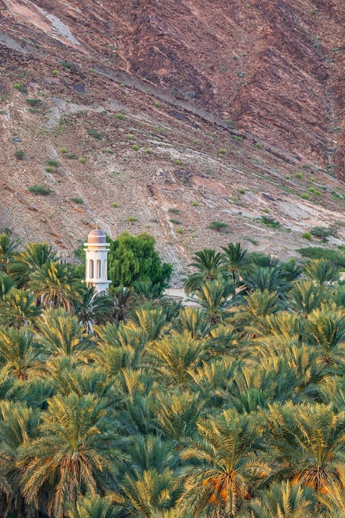 Picture of MIDDLE EAST-ARABIAN PENINSULA-OMAN-AD DAKHILIYAH-NIZWA