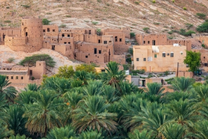 Picture of MIDDLE EAST-ARABIAN PENINSULA-OMAN-AD DAKHILIYAH-NIZWA