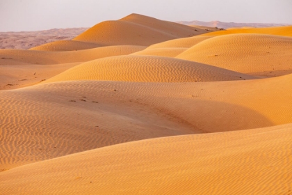 Picture of MIDDLE EAST-ARABIAN PENINSULA-ASH SHARQIYAH NORTH-BIDIYAH-SAND DUNES IN THE DESERT OF OMAN