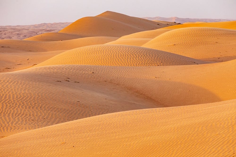 Picture of MIDDLE EAST-ARABIAN PENINSULA-ASH SHARQIYAH NORTH-BIDIYAH-SAND DUNES IN THE DESERT OF OMAN