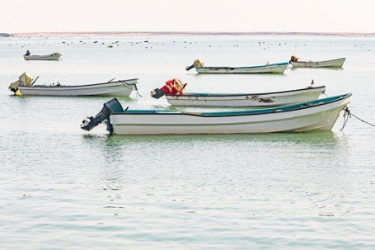 Picture of MIDDLE EAST-ARABIAN PENINSULA-AL WUSTA-MAHOUT-FISHING BOATS ON THE ARABIAN SEA IN OMAN