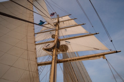 Picture of STAR CLIPPER SAILING CRUISE SHIP-THAILAND
