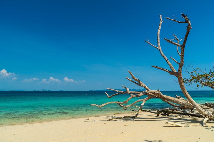 Picture of KO KRADAN-TALAY TRANG ARCHIPELAGO-THAILAND