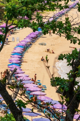 Picture of THAILAND-PHUKET-UMBRELLAS AND CHAIRS ON THE SANDY BEACH