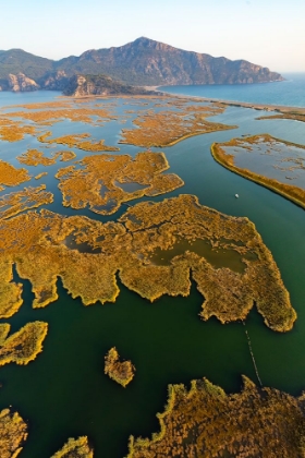 Picture of DALYAN-KOYCEGIZ-MUGLA-TURKEY