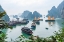 Picture of BAY-VIETNAM-UNESCO WORLD HERITAGE SITE-JUNKS IN THE BAY