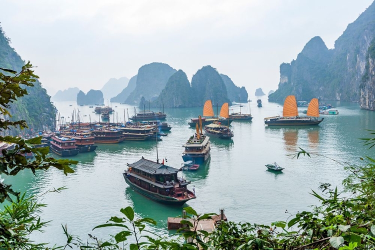 Picture of BAY-VIETNAM-UNESCO WORLD HERITAGE SITE-JUNKS IN THE BAY