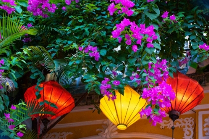 Picture of VIETNAM-HOI AN SILK LAMPS DECORATING THROUGHOUT THE CITY