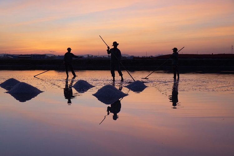 Picture of VIETNAM-DOC LET SALT LAKE-WORKERS HARVESTING THE SALT-EARLY MORNING SUNRISE