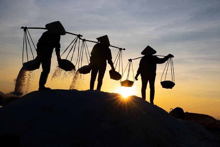 Picture of VIETNAM-DOC LET SALT LAKE-WORKERS HARVESTING THE SALT-EARLY MORNING SUNRISE