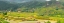 Picture of VIETNAM -RICE PADDIES IN THE HIGHLANDS OF SAPA