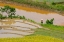 Picture of VIETNAM -RICE PADDIES IN THE HIGHLANDS OF SAPA