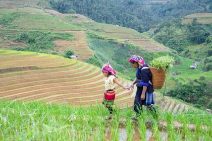 Picture of VIETNAM-GRANDMA TAKING CARE OF GRANDDAUGHTER-FARMING COMMUNITY WITH TRADITIONAL SAPA DRESSES