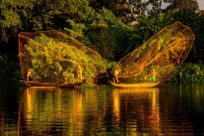 Picture of VIETNAM-BUTTERFLY NET FISHING-FISHERMEN WORKING IN COMPLETE SYNCHRONIZATION