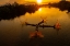 Picture of VIETNAM-COORDINATED LAGOON FISHING WITH NETS AT SUNSET