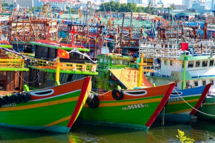 Picture of VIETNAM-DANANG FISHING HARBOR