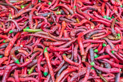 Picture of DUSHANBE-TAJIKISTAN CHILI PEPPERS FOR SALE AT THE MEHRGON MARKET IN DUSHANBE