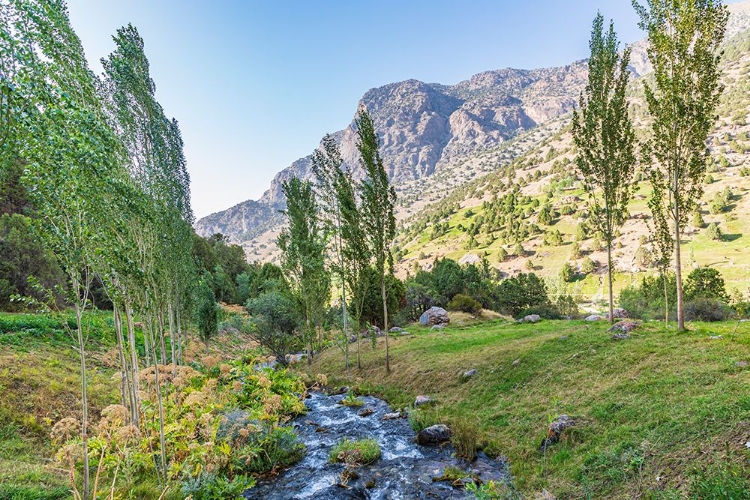 Picture of ARTUCH-SUGHD PROVINCE-TAJIKISTAN A SMALL CREEK IN THE MOUNTAINS OF TAJIKISTAN