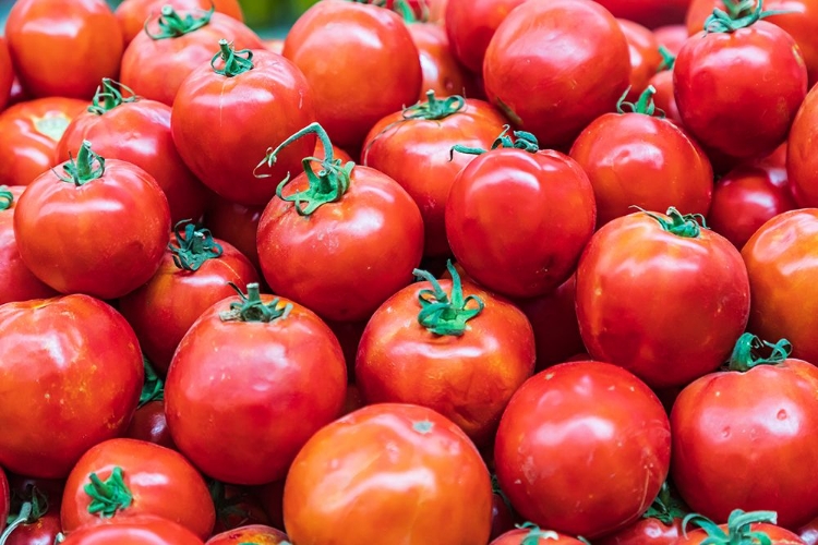 Picture of KHUJAND-SUGHD PROVINCE-TAJIKISTAN FRESH TOMATOES FOR SALE AT THE PANJSHANBE BAZAAR IN KHUJAND