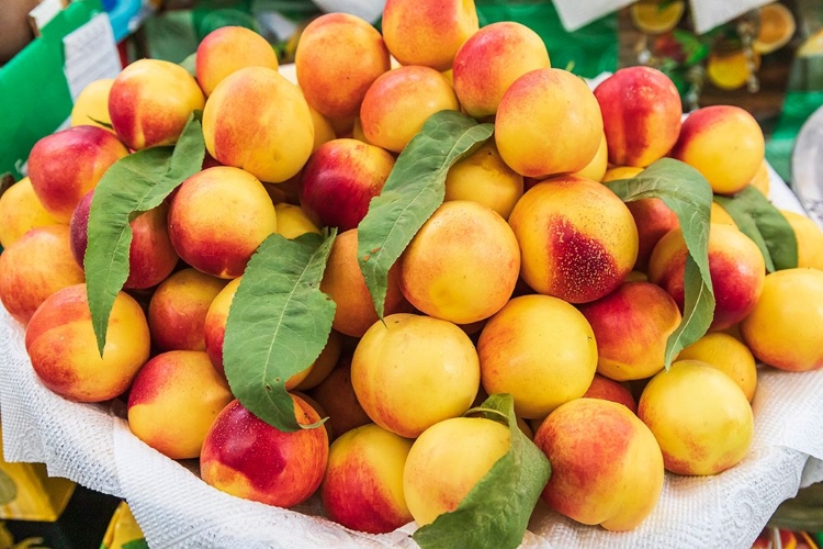 Picture of KHUJAND-SUGHD PROVINCE-TAJIKISTAN FRESH NECTARINES FOR SALE AT THE PANJSHANBE BAZAAR IN KHUJAND