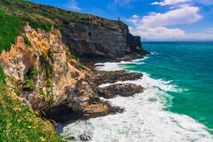 Picture of HARRINGTON POINT ON THE OTAGO PENINSULA-OTAGO-SOUTH ISLAND-NEW ZEALAND