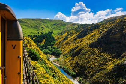 Picture of DUNEDIN RAILWAYS TOUR OF THE TAIERI GORGE-OTAGO-SOUTH ISLAND-NEW ZEALAND