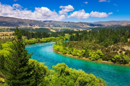 Picture of THE CLUTHA RIVER-CENTRAL OTAGO-SOUTH ISLAND-NEW ZEALAND