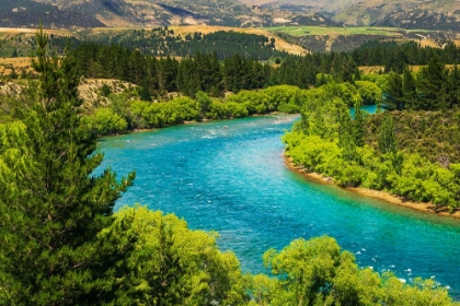 Picture of THE CLUTHA RIVER-CENTRAL OTAGO-SOUTH ISLAND-NEW ZEALAND