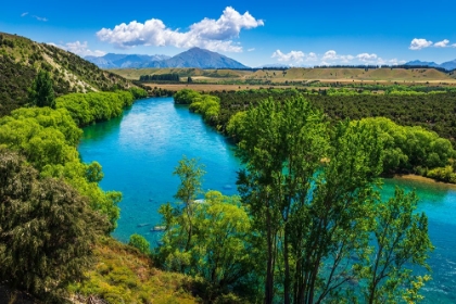 Picture of RIVER VIEW FROM THE UPPER CLUTHA RIVER TRACK-CENTRAL OTAGO-SOUTH ISLAND-NEW ZEALAND