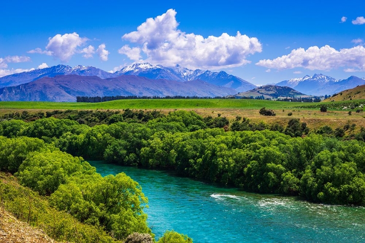 Picture of RIVER VIEW FROM THE UPPER CLUTHA RIVER TRACK-CENTRAL OTAGO-SOUTH ISLAND-NEW ZEALAND