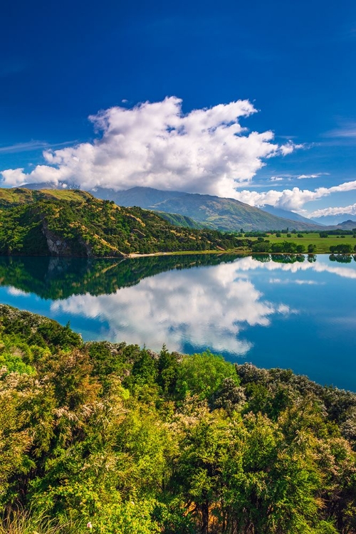 Picture of GLENDHU BAY ON LAKE WANAKA-OTAGO-SOUTH ISLAND-NEW ZEALAND