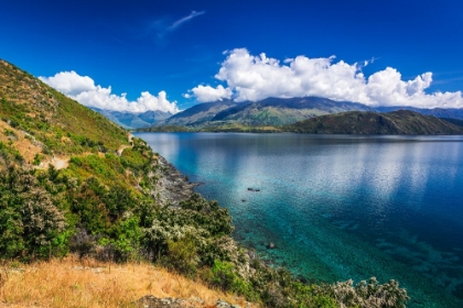 Picture of CYCLING THE SHORE OF LAKE WANAKA-OTAGO-SOUTH ISLAND-NEW ZEALAND